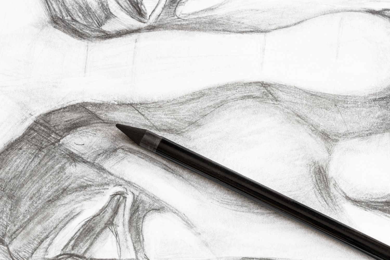Anatomy in Art