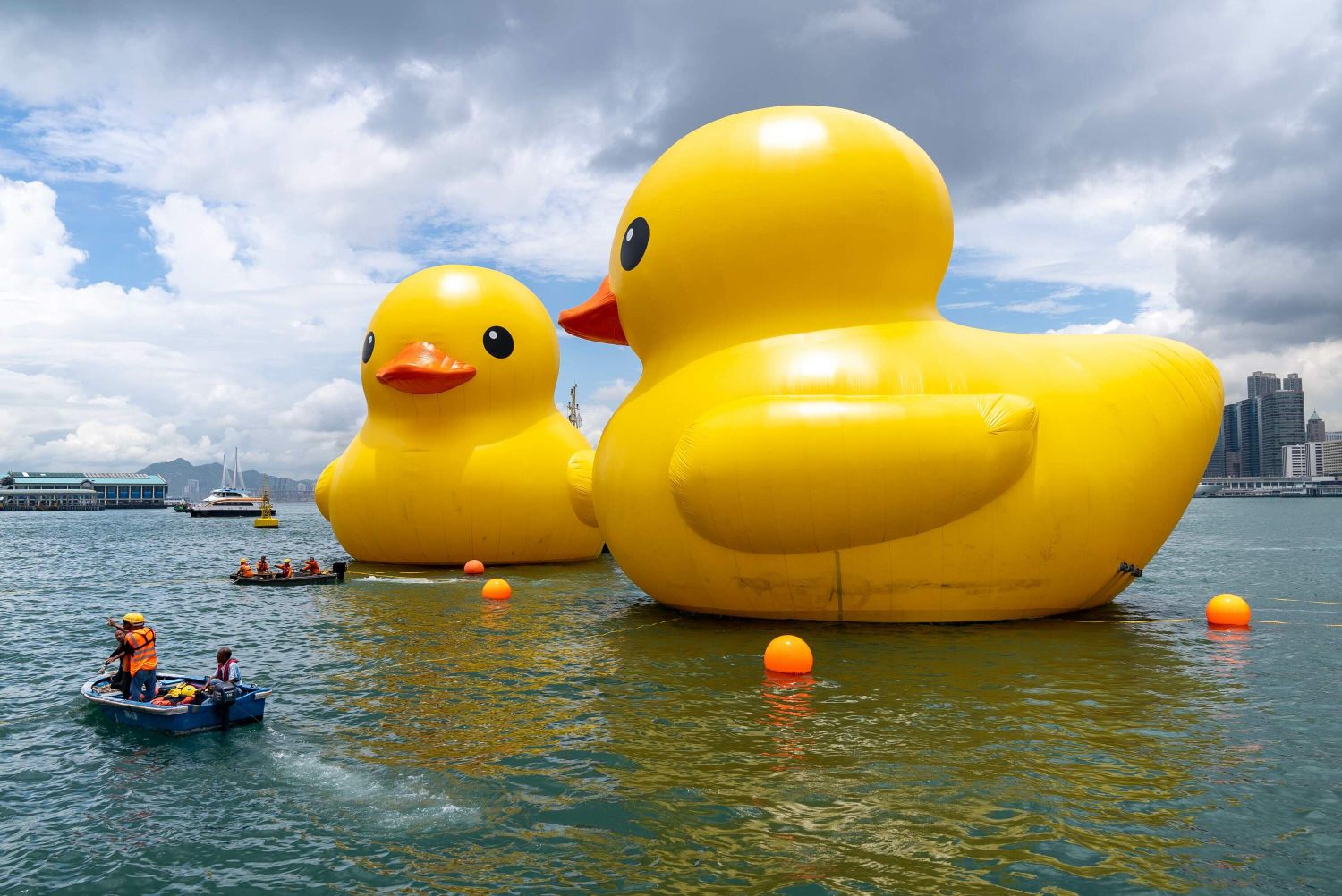 Two-duck art installation in Hong Kong